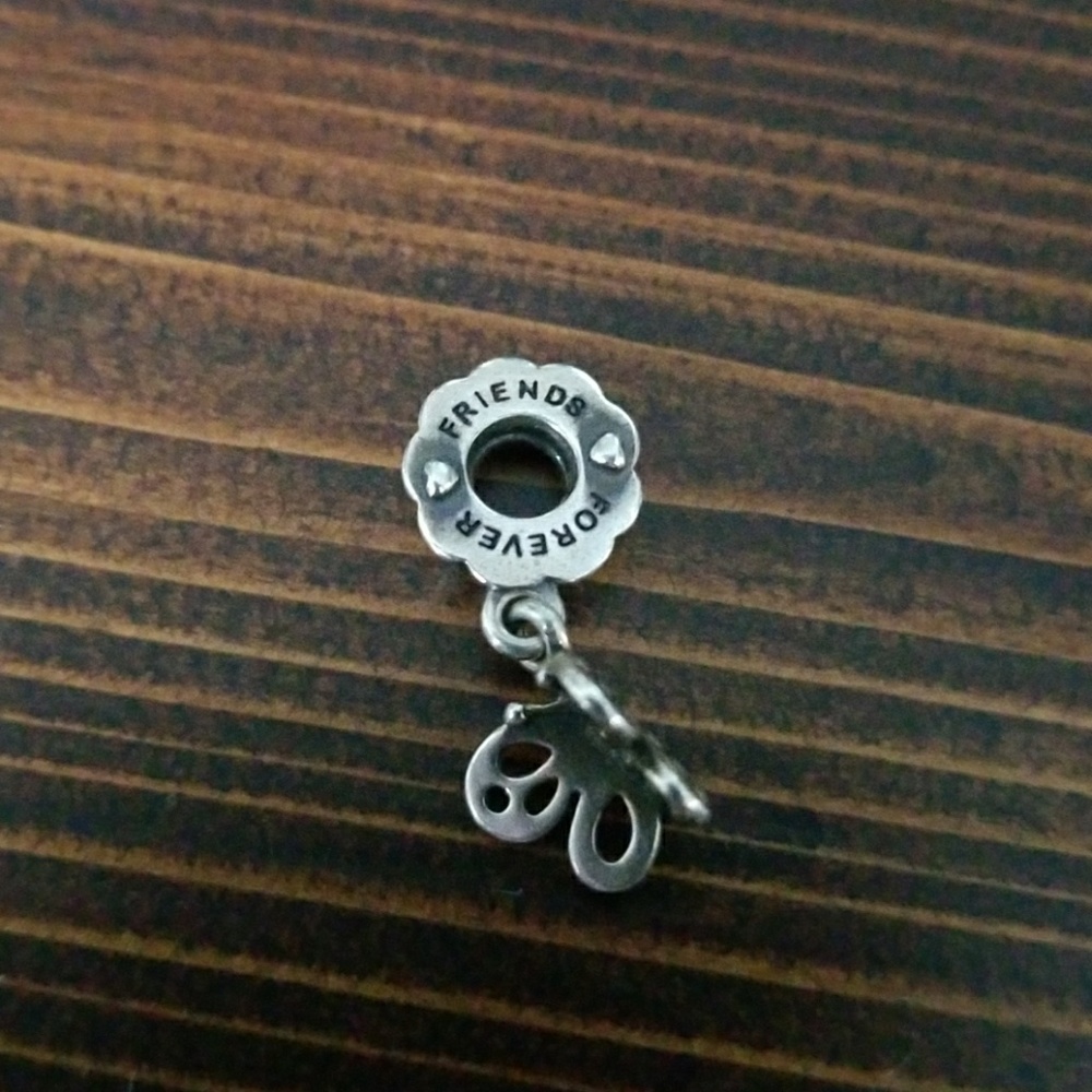 Best friends pandora charm